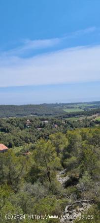 TERRENO URBANIZABLE en VENTA - CAN LLOSES - SANT PERE DE RIBES - BARCELONA - BARCELONA