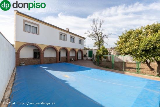  Dos casas en parcela de 724m con huerto y piscina - GRANADA 