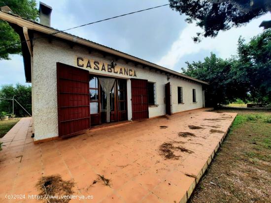  Casa de campo en plena huerta de la localidad de Dolores (Alicante). - ALICANTE 