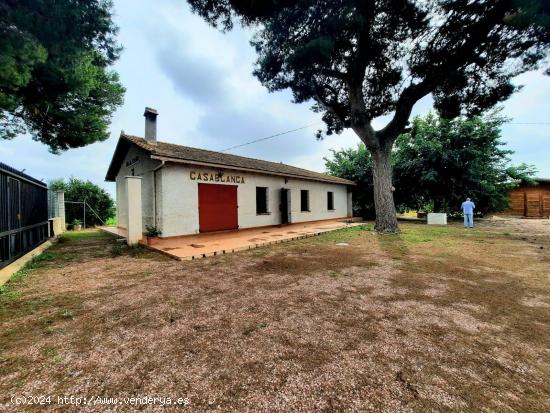 Casa de campo en plena huerta de la localidad de Dolores (Alicante). - ALICANTE