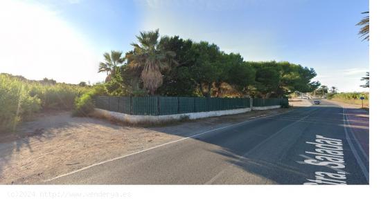 TERRENO VALLADO EN ARENALES DEL SOL - ALICANTE