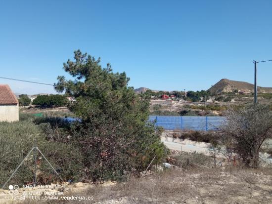 Casa con terreno en Cañadas de San Pedro - MURCIA