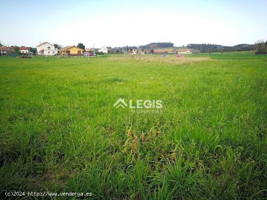  TERRENOS EDIFICABLES EN LUANCO - CANDÁS - GOZÓN - ASTURIAS - ASTURIAS 