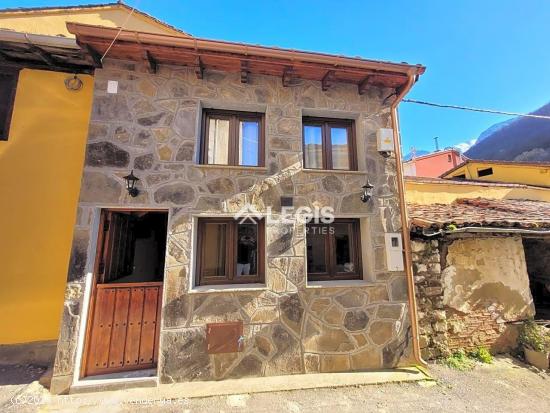 CASINA APARTAMENTO CON ALMA - ASTURIAS