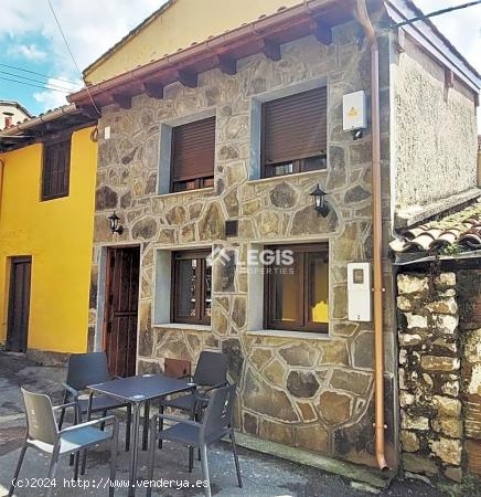 CASINA APARTAMENTO CON ALMA - ASTURIAS