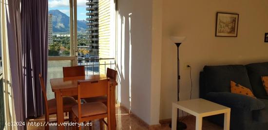 APARTAMENTO RINCON DE LOIX LLANO - ALICANTE