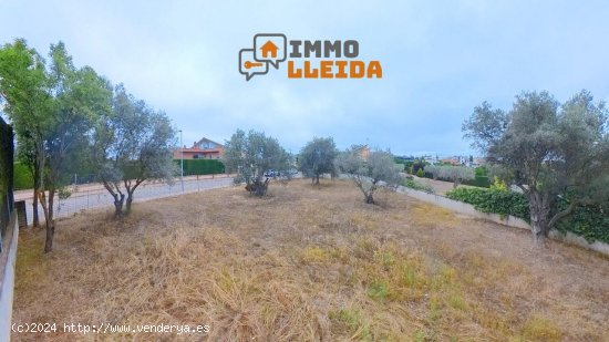 Suelo urbano en venta  en Cervera - Lleida