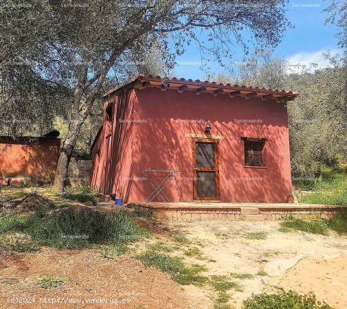  SE VENDE FINCA RÚSTICA EN VENTA EN VALDELARCO (HUELVA) ESPAÑA. - Valdelarco 