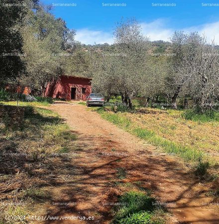 SE VENDE FINCA RÚSTICA EN VENTA EN VALDELARCO (HUELVA) ESPAÑA. - Valdelarco