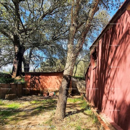 SE VENDE FINCA RÚSTICA EN VENTA EN VALDELARCO (HUELVA) ESPAÑA. - Valdelarco