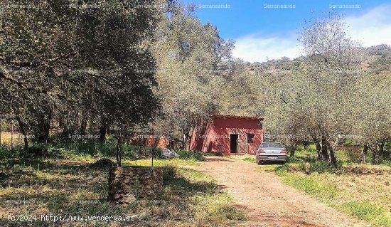 SE VENDE FINCA RÚSTICA EN VENTA EN VALDELARCO (HUELVA) ESPAÑA. - Valdelarco