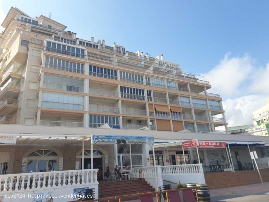 Apartamento en Alquiler vacacional en Oropesa Del Mar Castellón