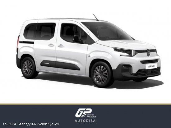 Citroën Berlingo Talla M BlueHDi 100 S&S PLUS - Camins al Grau