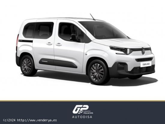 Citroën ë-Berlingo Talla M ë-Berlingo 50 kWh SHINE - Camins al Grau