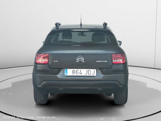 Citroën C4 Cactus Feel - Fontellas