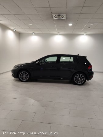 Volkswagen Golf Advance 1.5 TSI EVO 110kW (150CV) - Lleida