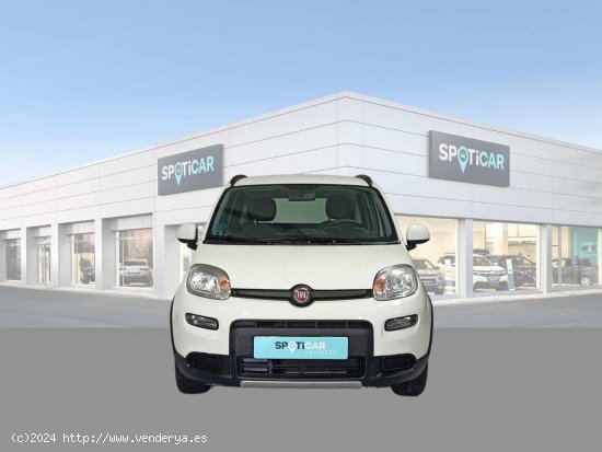 Fiat Panda City Life Hybrid 1.0 Gse 51kw (70CV) - Jaén