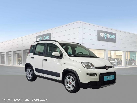 Fiat Panda City Life Hybrid 1.0 Gse 51kw (70CV) - Jaén