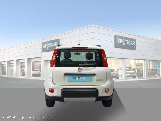 Fiat Panda City Life Hybrid 1.0 Gse 51kw (70CV) - Jaén