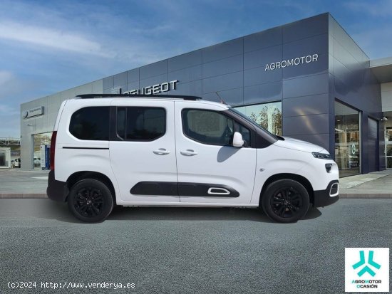 Citroën Berlingo  Talla M BlueHDi 100 S&S Feel Pack - VITORIA