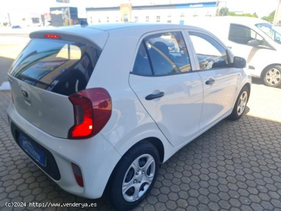 KIA Picanto en venta en AlcalÃ¡ de GuadaÃ­ra (Sevilla) - AlcalÃ¡ de GuadaÃ­ra