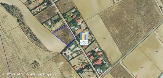  PARCELA EN VENTA EN MORALES DEL VINO (ZAMORA) - ZAMORA 