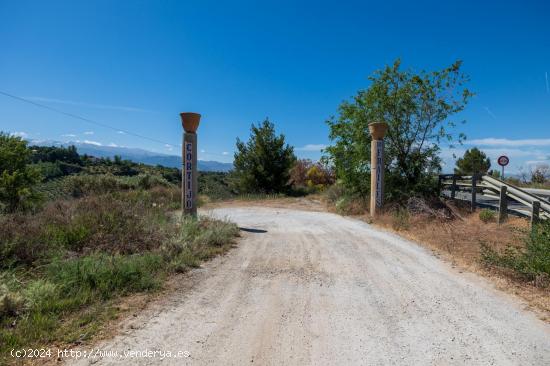 Estupendo terreno rustico - GRANADA