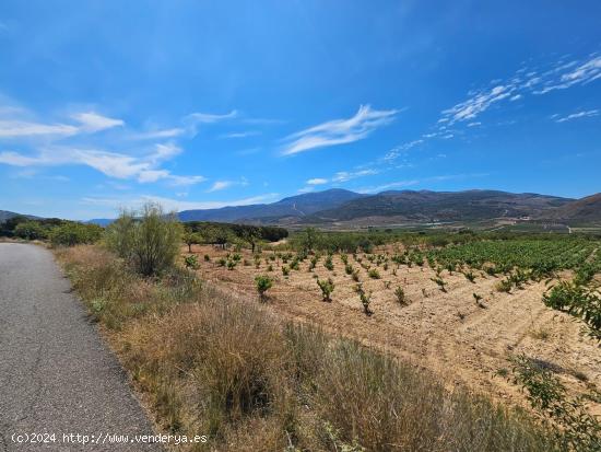 FINCA EN LLANO DE LAUJAR DE ANDARAX - ALMERIA