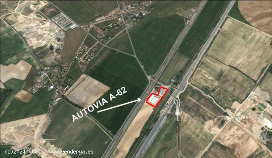 Nave industrial en venta y alquiler - VALLADOLID