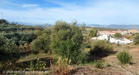  Magnífico solar en Nivar, junto a la montaña de 450m2. - GRANADA 