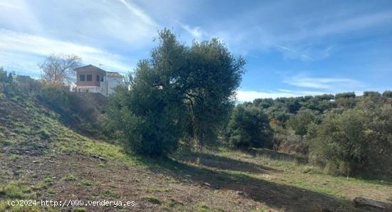 Magnífico solar en Nivar, junto a la montaña de 450m2. - GRANADA