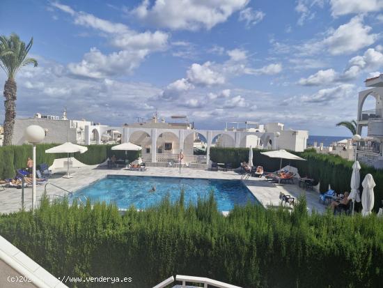 Playa de la mata, apartamento con vistas a la piscina y al mar - ALICANTE