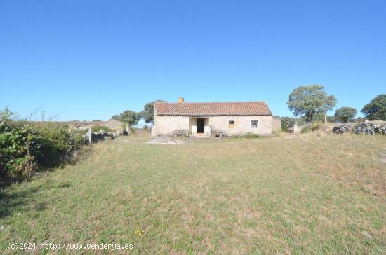 Urbis te ofrece una finca rústica en venta en Cipérez, Salamanca. - SALAMANCA