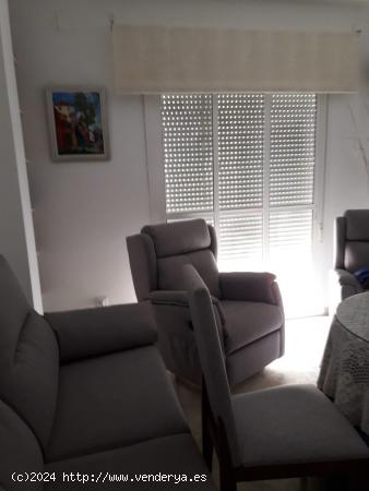 Alquiler Apartamento 1 dormitorio, 1 baño en muy buen estado y muy luminoso en San Fernando - BADAJ