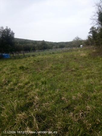 Se Vende Finca Rústica en Valle de Mena - BURGOS