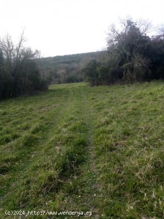 Se Vende Finca Rústica en Valle de Mena - BURGOS