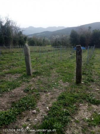 Se Vende Finca Rústica en Valle de Mena - BURGOS