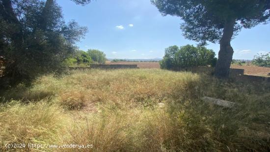 Terreno urbano en Casa Blanca - BALEARES