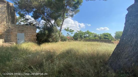 Terreno urbano en Casa Blanca - BALEARES