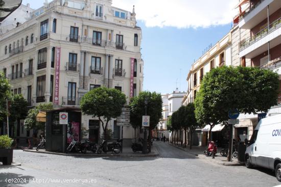 Se Alquila en Sevilla - SEVILLA