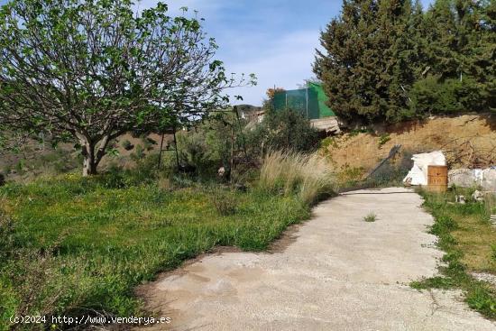 Terreno dividido en 2 parcelas, una de 1.716m2 que... - MALAGA