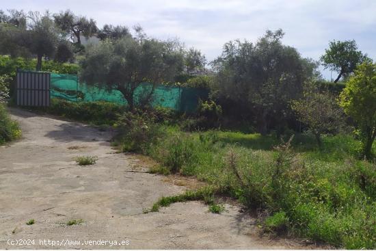 Terreno dividido en 2 parcelas, una de 1.716m2 que... - MALAGA