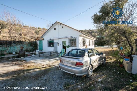 GRAN TERRENO RURAL EN COGOLLOS DE LA VEGA - GRANADA