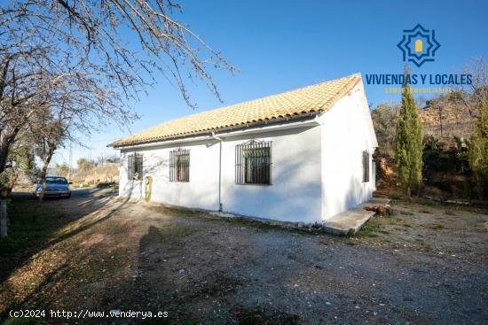 GRAN TERRENO RURAL EN COGOLLOS DE LA VEGA - GRANADA