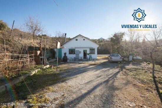 GRAN TERRENO RURAL EN COGOLLOS DE LA VEGA - GRANADA