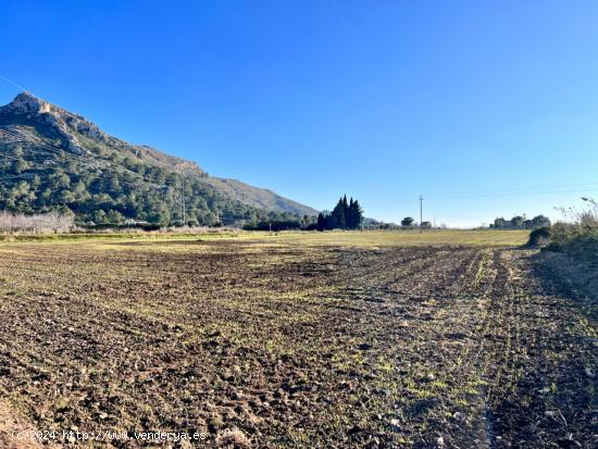  Finca rústica en Alcudia - BALEARES 