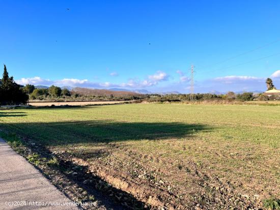 Finca rústica en Alcudia - BALEARES