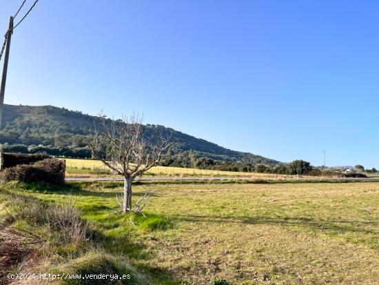  Finca rústica en Alcudia - BALEARES 