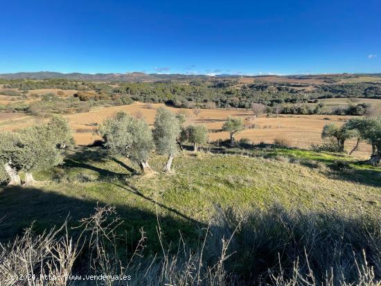 Se vende terreno rústico en el pueblo de Montesa (Hoz de Barbastro). - HUESCA