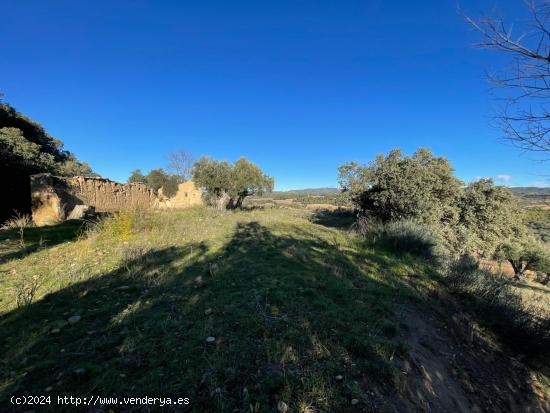 Se vende terreno rústico en el pueblo de Montesa (Hoz de Barbastro). - HUESCA